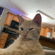 Emortl - steam id 76561199679765140