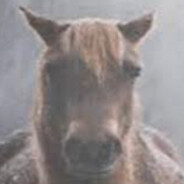 evil and intimidating horse