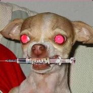 -<BaldorheaD>- - steam id 76561197964386487