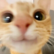meloN