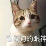 慈善车队四号选手