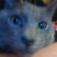 luKi - steam id 76561198885876983