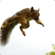 Kamikaze Squirrel - steam id 76561197961438195