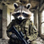 KillingRaccoon