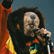 Bobr Marley