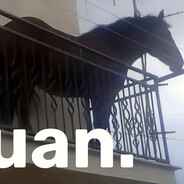 JuanGalop12Year