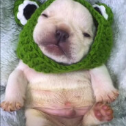 avery_froggie avatar