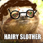 Hairy Slother