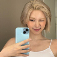 ROC旺旺仙BAE八号机