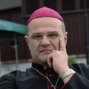 Rayder - steam id 76561199120643516