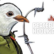 PeacefulHOOLIGAN