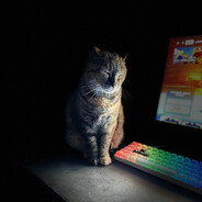 RealCatsGoWoof avatar