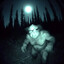 Not Sasquatch