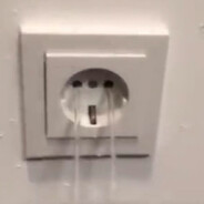 steckdosenbefruchter12