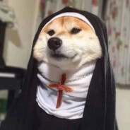 蜜雪才是真奶茶