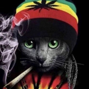 активный Нарик