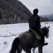 马喽无敌大将军