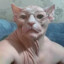 двуни не вовыозмт