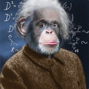 Professor Chimp