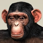 Chimp*