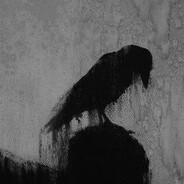 123123 - steam id 76561199469045314