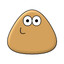 pizz_doliz