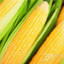 cornhub