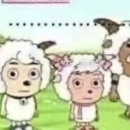 苞皮里的卫生纸