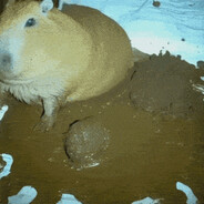 capybara berak
