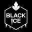 [BIC-L] Black-Ice