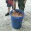 泔水桶