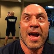 I am the Joe Rogan experience