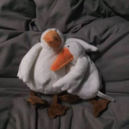 奇迹行者还在刷野。