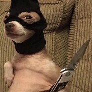 Смелый Хрящик