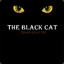 BLACK CAT