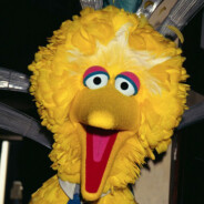 big bird dropland.net