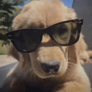 小楼一夜听春雨