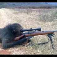 Sniper Monkey