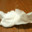 Wet_Tissue