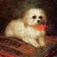 BarksAtGhosts