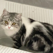 请告诉我寂寞的时长