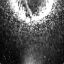 blackrain