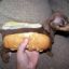 LKSN | KORVEN - HOT DOG