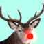 Rudolph