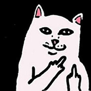 没有猫猫好辛苦