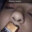 FartFuckinglover3