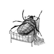 Your Local Moonwolka