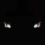 soul reaper