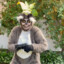 King Julien