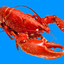 Lobster